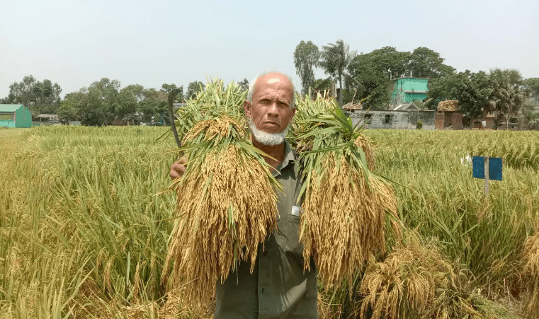 বিজ্ঞানীরা আমাকে এতটা মূল্যায়ন করবে ভাবিনি